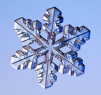 Начиная со снежинок...