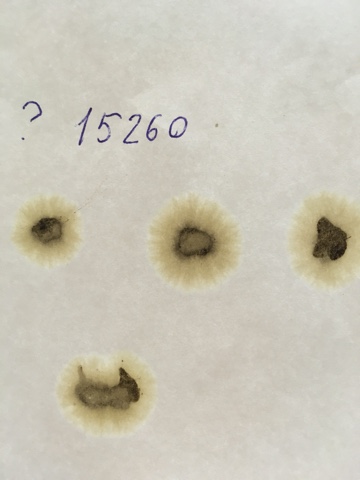 иж27175 х15260 км пробега