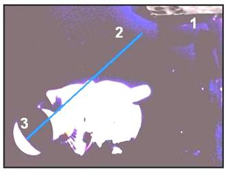 Экспертиза: просто добавь контраст!
