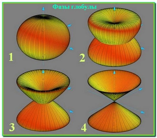 Фазы глобулы домена ФВ