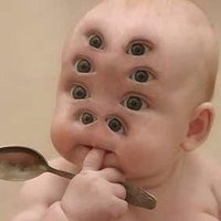 Во как! Ждём хурму!