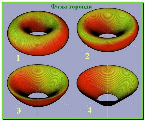 Фазы тороида ФВ