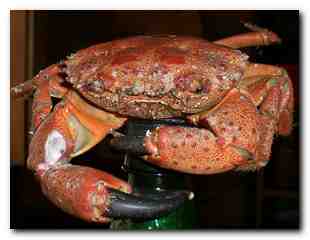 короче,  без бутылки не разобраться !