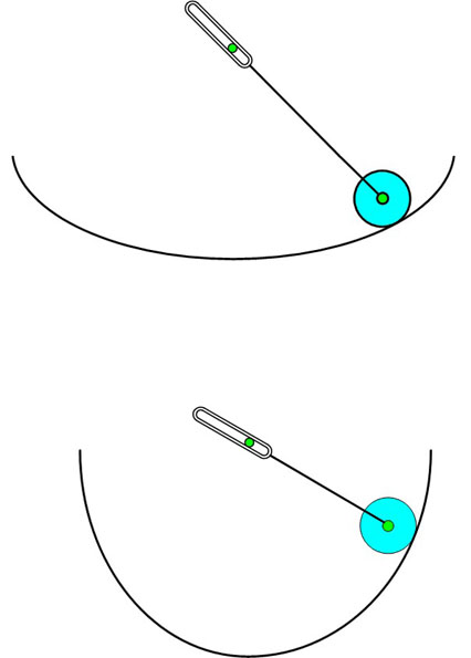 вечняк маятник простейший