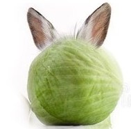 Проявление свёрнутых измерений в 3-Д  мире.