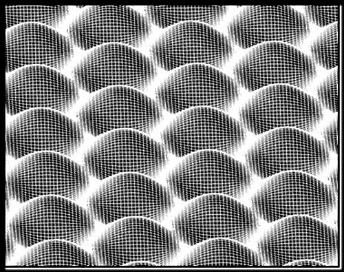 доменная структура Ф.В.